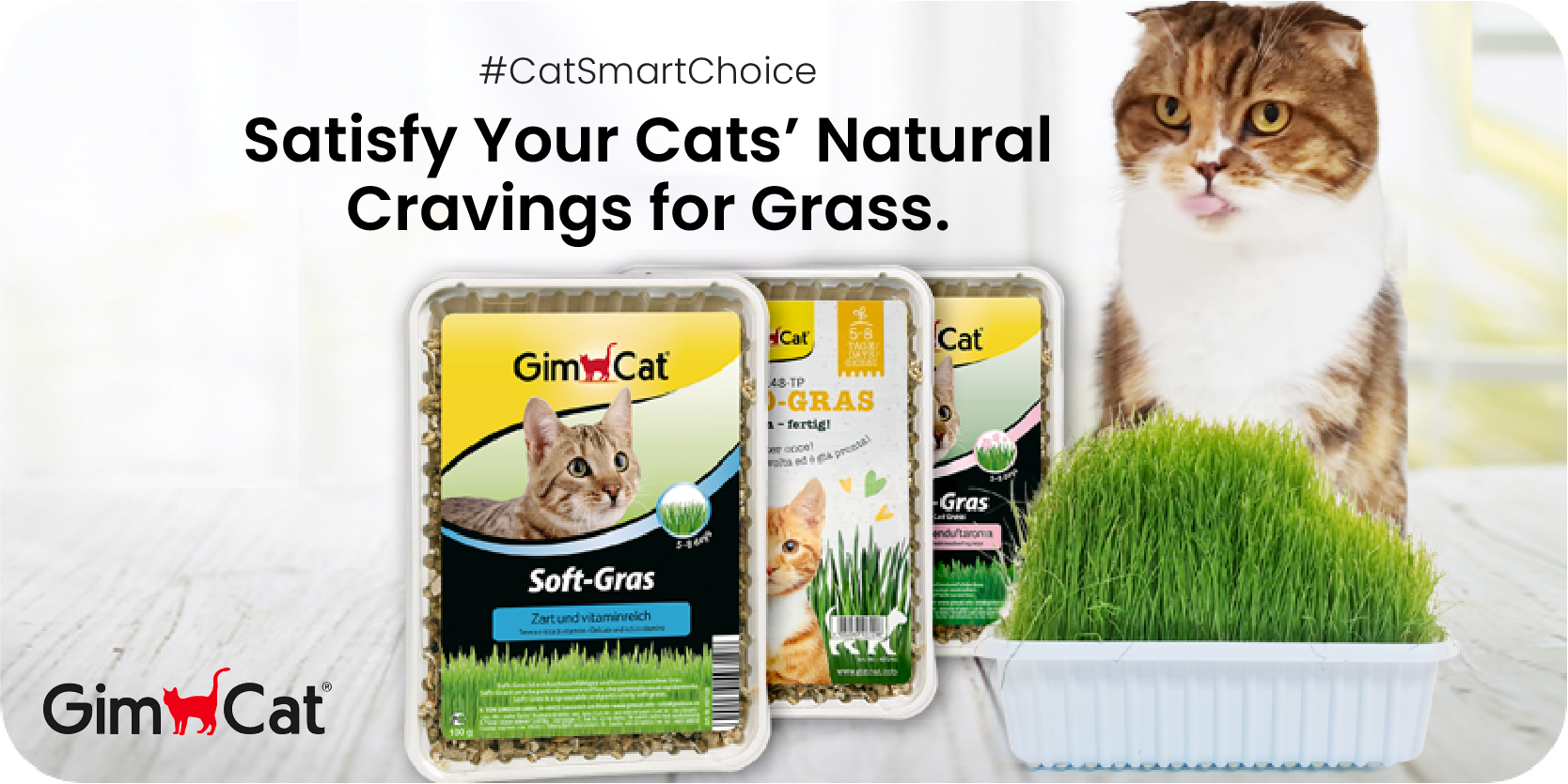 GimCat Fresh Cat Grass